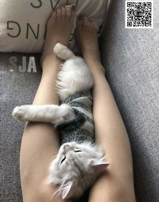 91久久电影_高清视频在线观看
