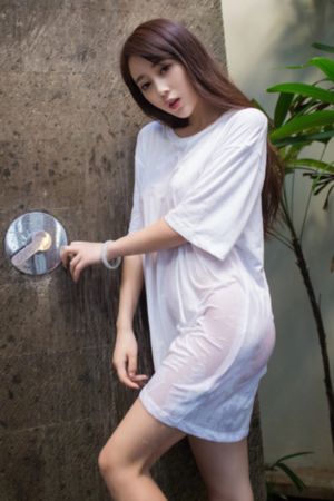 大明天子电视剧免费观看完整版_1080在线观看高清