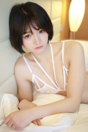 蜜蜂总动员_蓝光高清在线