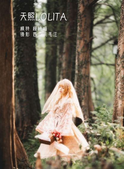 李时珍电影_超清高清免费观看